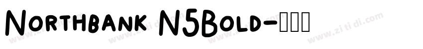 Northbank N5Bold字体转换